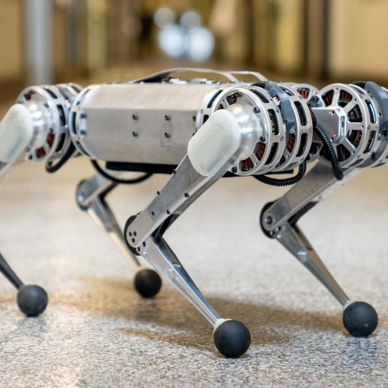 Biomimicry in Robotics: Learning from Nature's Designs