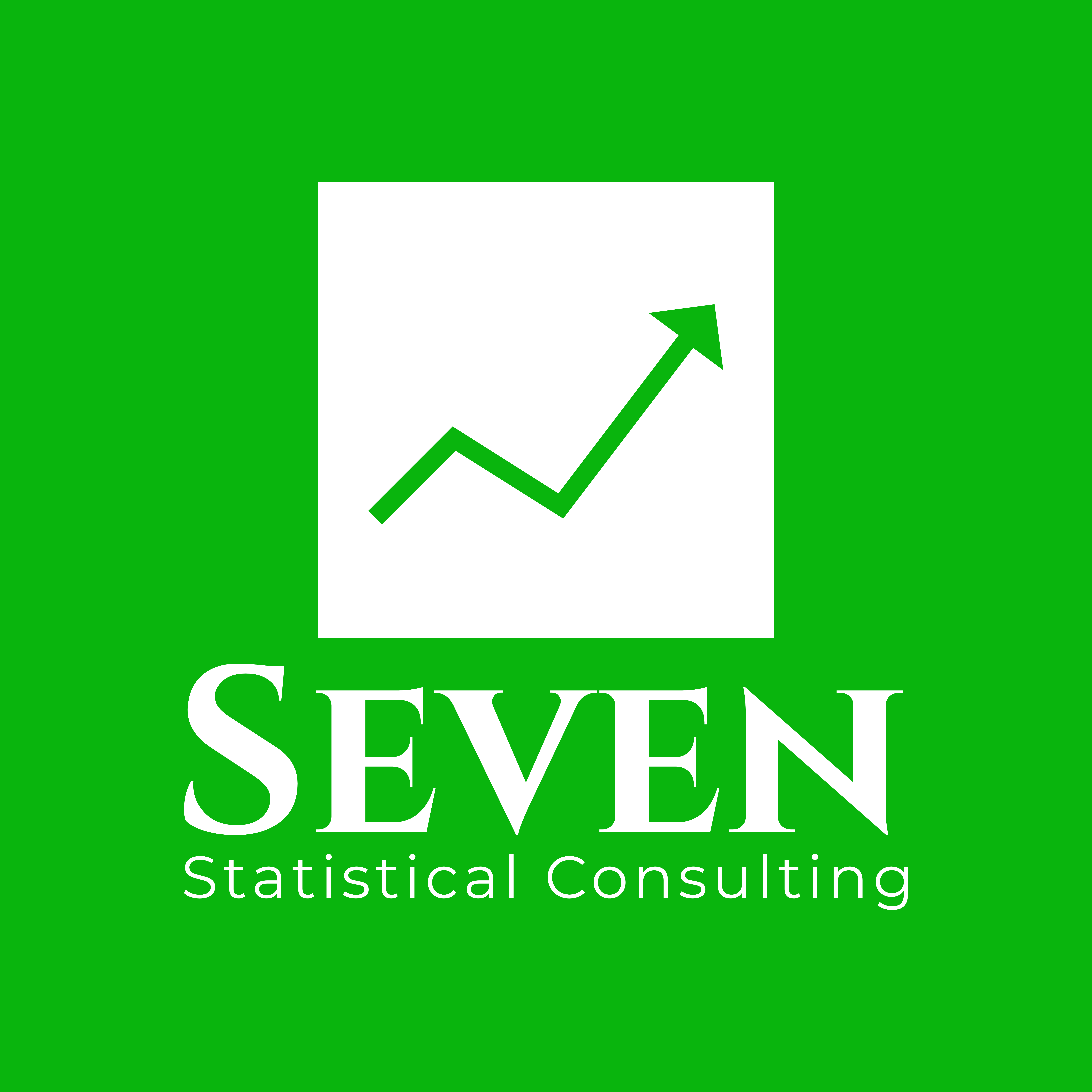 Seven Statistical Consulting