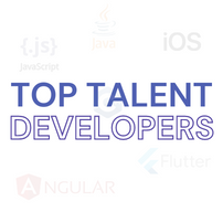 Top Talent Developers