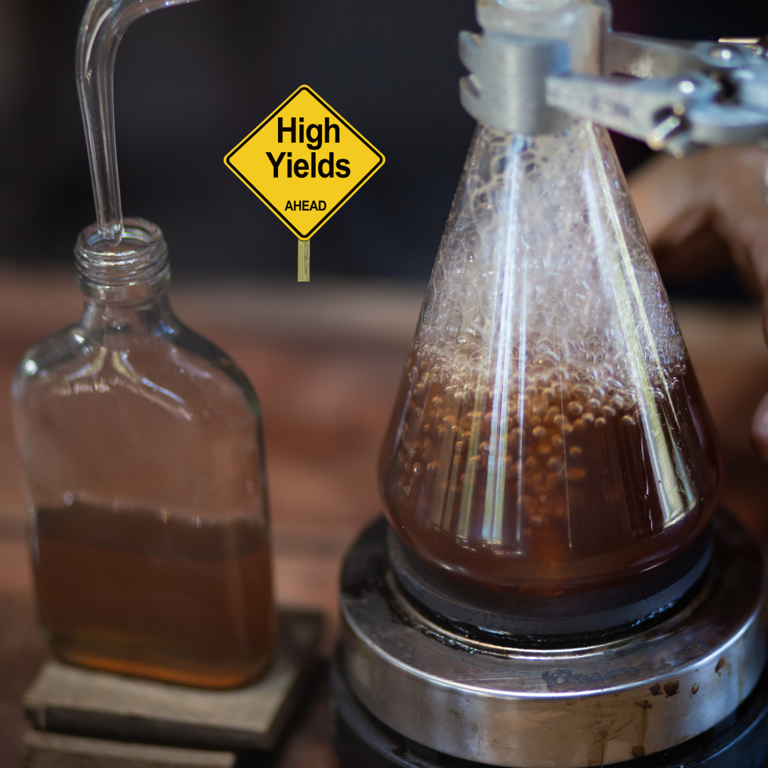 Providing a new method for producing ethanol from molasses more efficiently