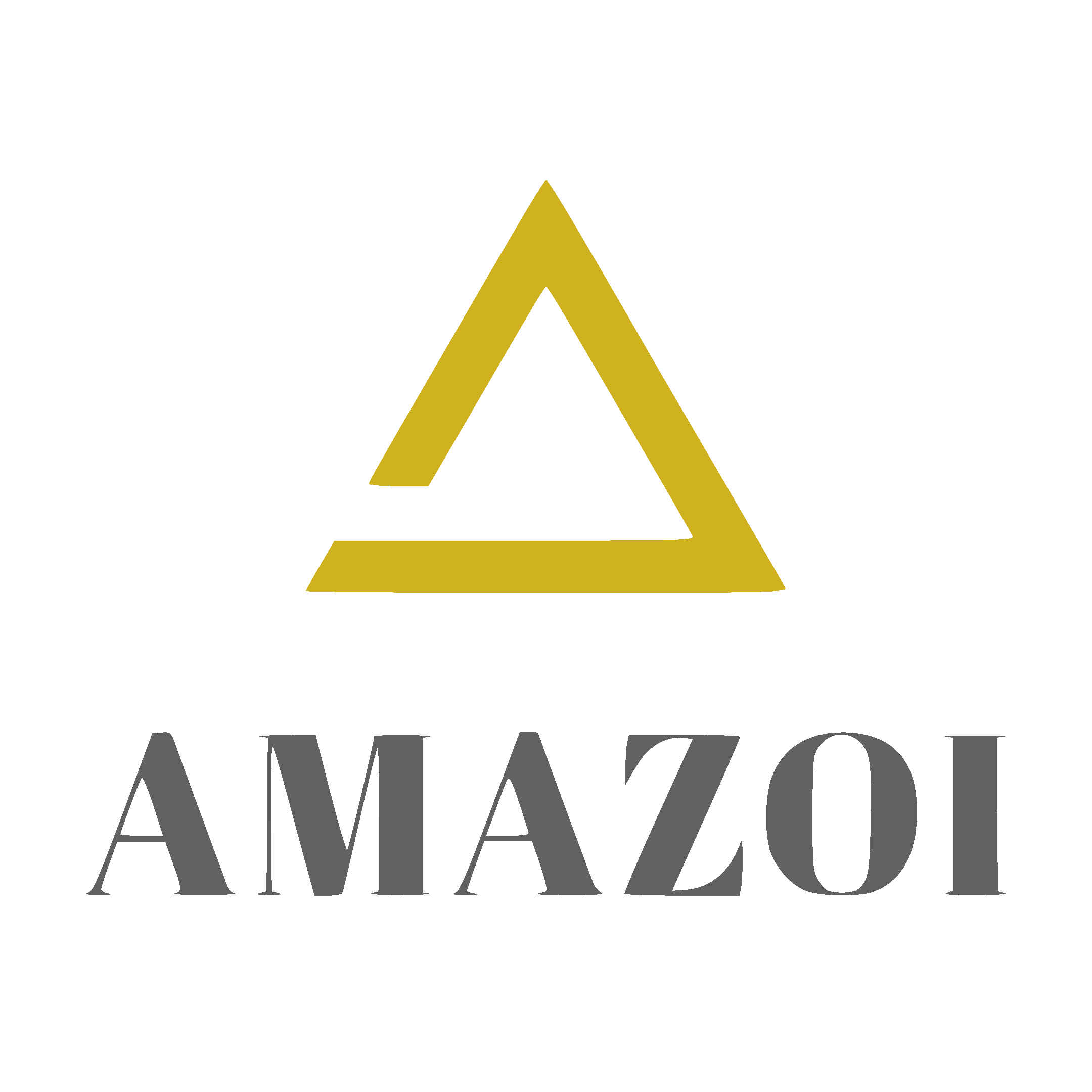 AMAZOI Software