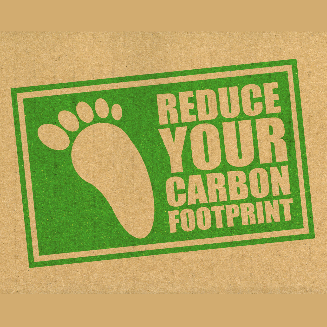 Carbon Footprint; What We Need to Know | Findaso