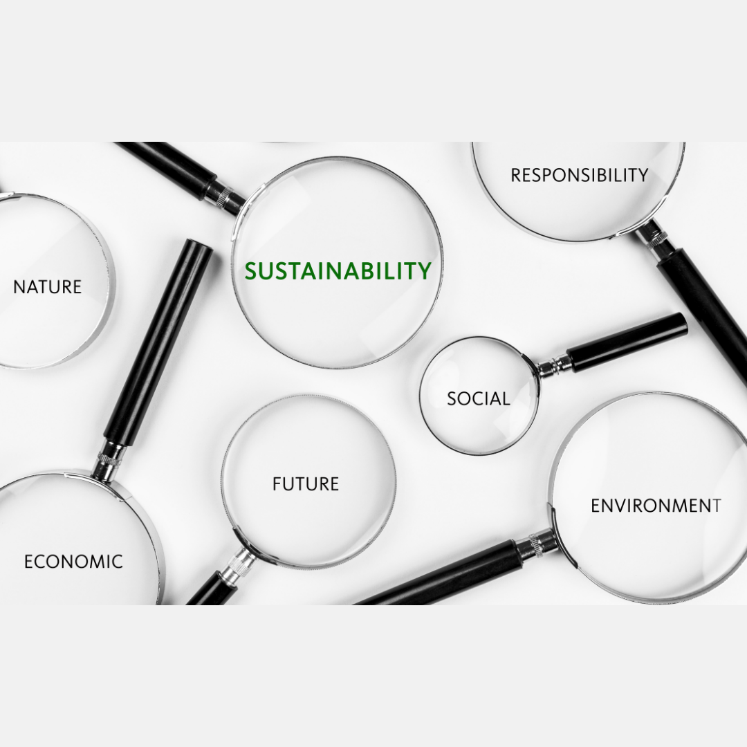 What is “sustainability” and why is it important?